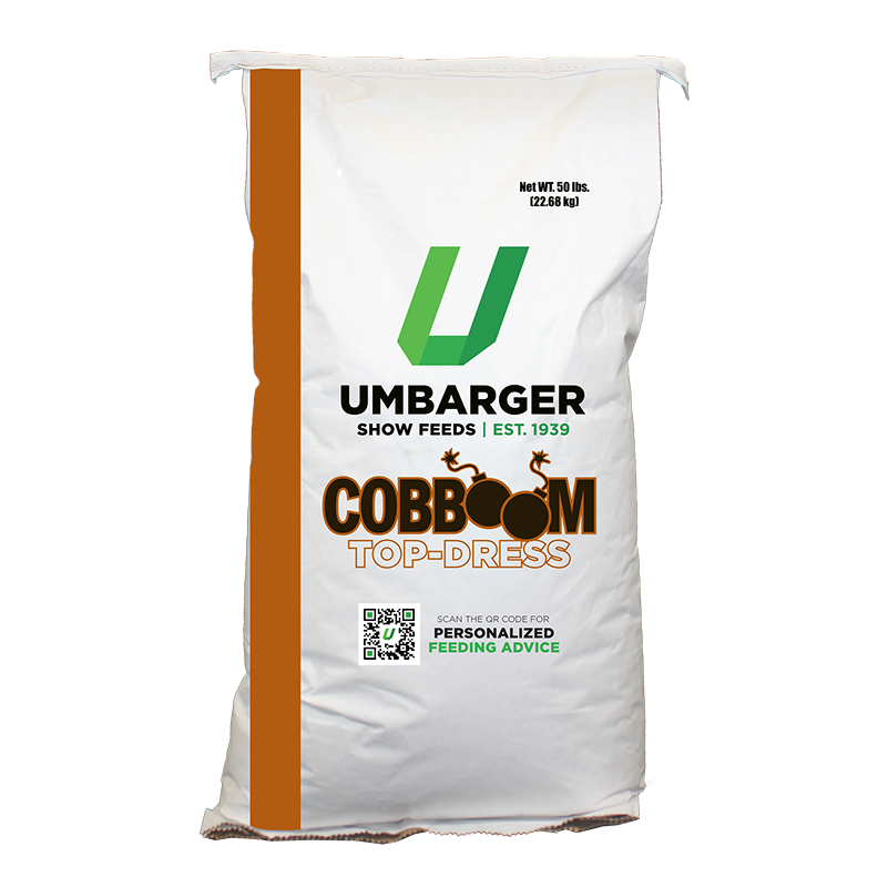 Cobboom