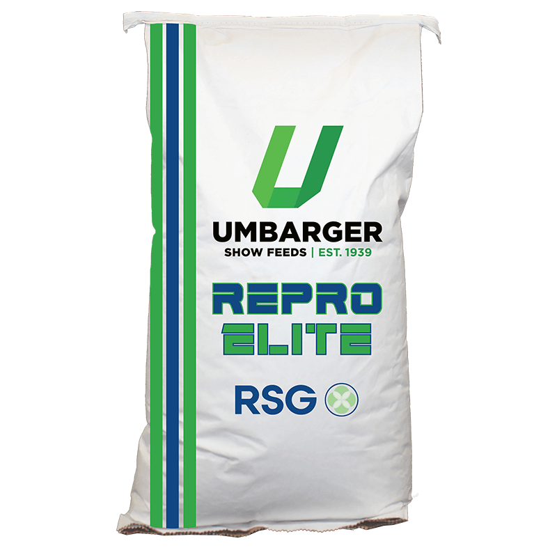 Repro Elite