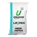 Launch